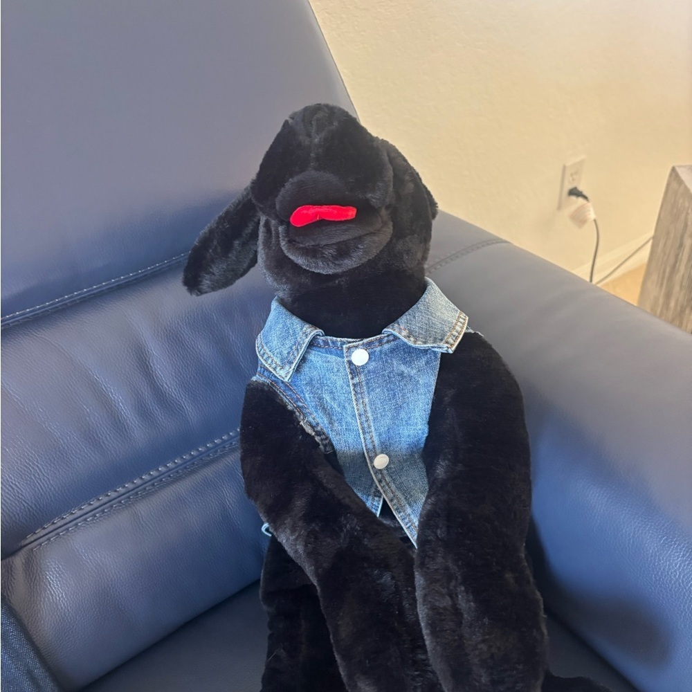 Stylish Blue Denim Dog Jacket - Picture 4 of 7